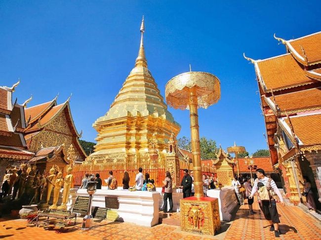 Doi Suthep and Elephant Tour Full Day